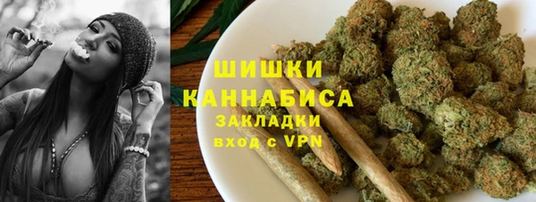 ПСИЛОЦИБИНОВЫЕ ГРИБЫ Балабаново