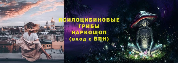 ПСИЛОЦИБИНОВЫЕ ГРИБЫ Балабаново
