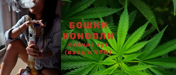 ПСИЛОЦИБИНОВЫЕ ГРИБЫ Балабаново