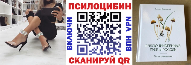 Псилоцибиновые грибы Psilocybe Барабинск